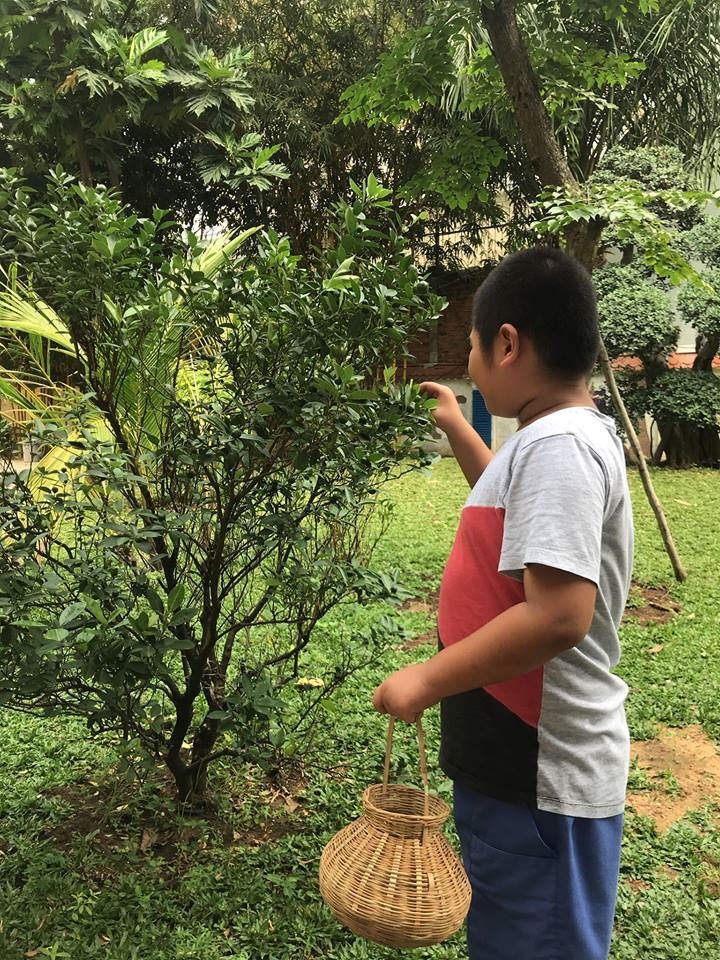 vuon cay cua be - steps special school